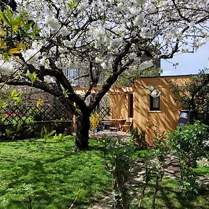Chalet La Maisonnette Sous Le Cerisier, Bergonne